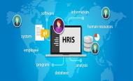 Manfaat HRIS Software Untuk Manajer SDM (HRD) 